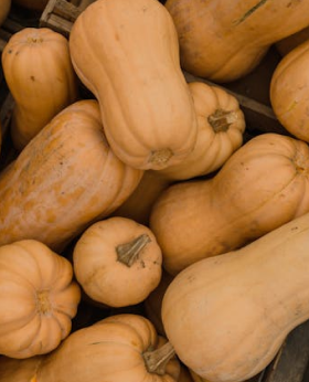 Calabaza