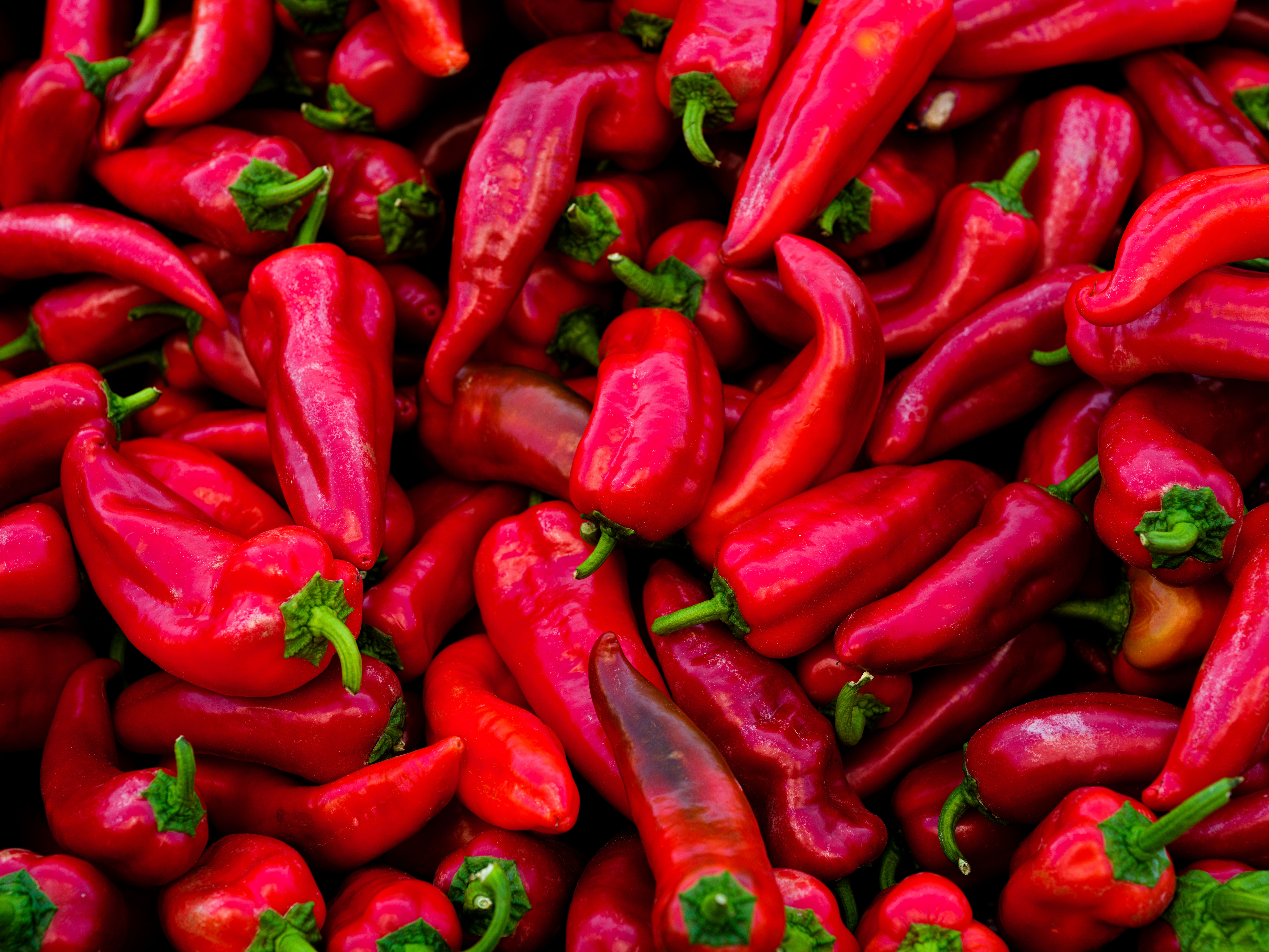 Pimiento rojo largo