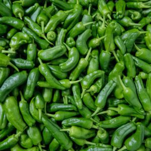 Pimiento Padrón