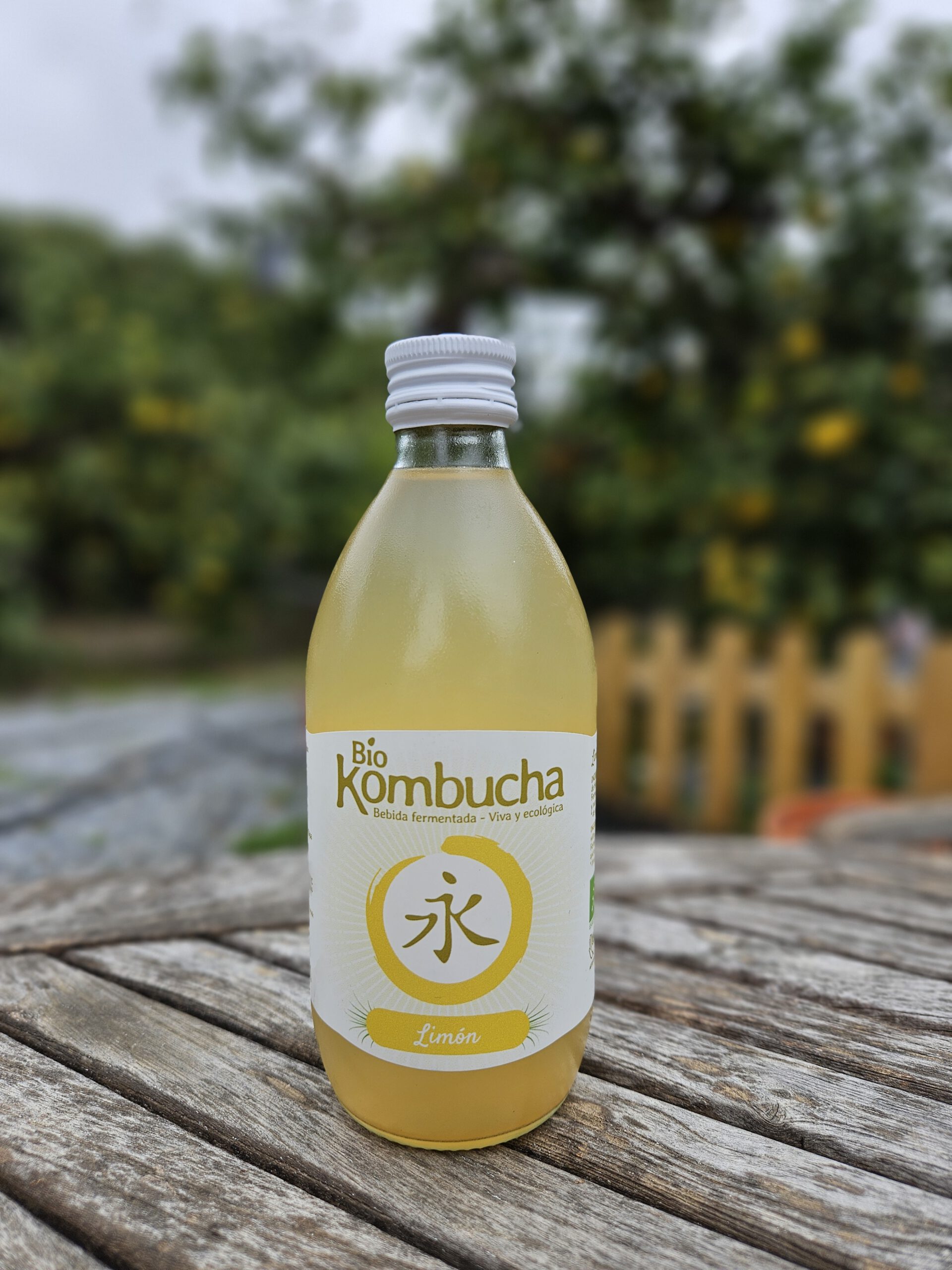 Kombucha limón