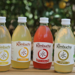Kombucha ( Limón, Cúrcuma, Jengibre o Frutas del bosque)