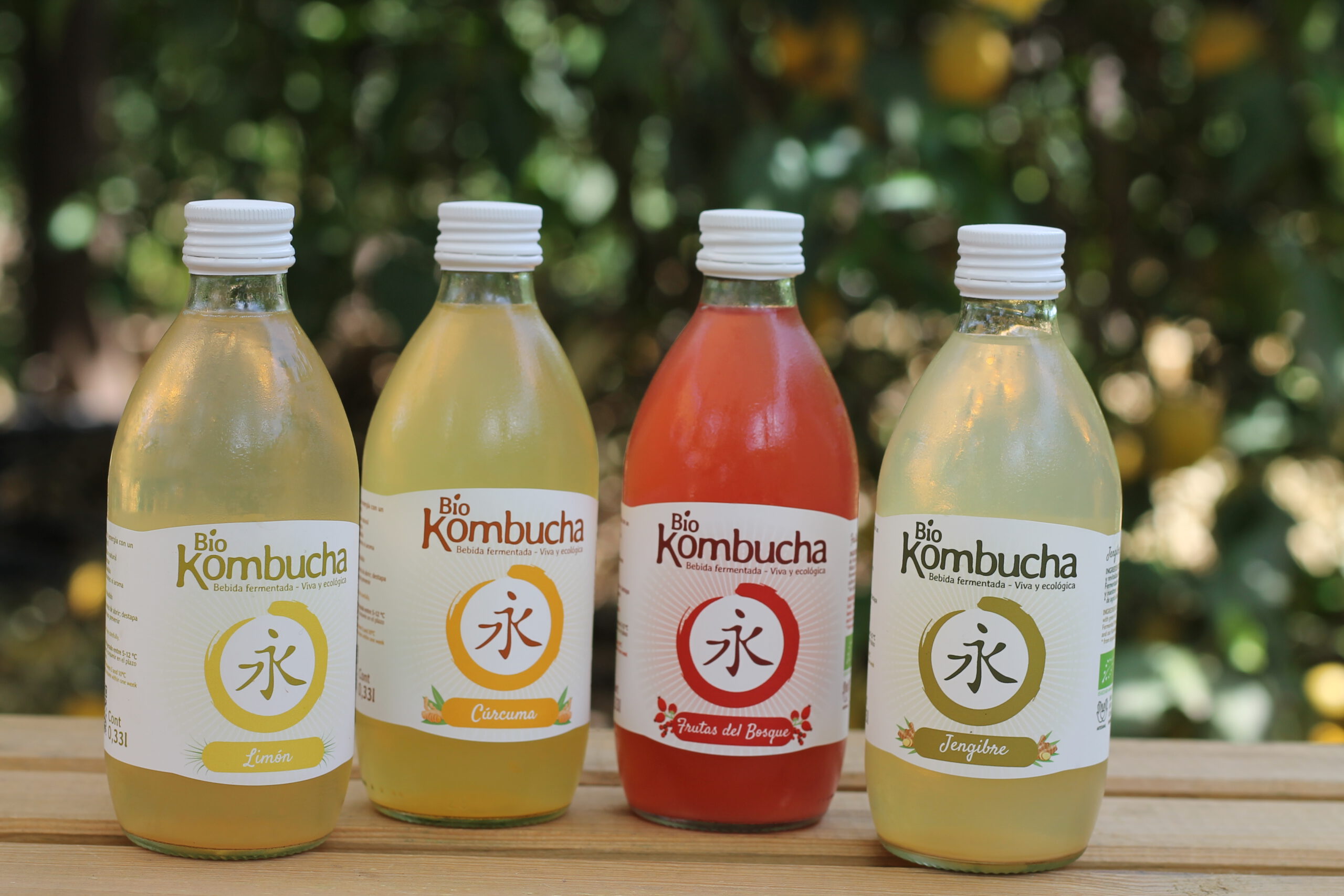 Kombucha ( Limón, Cúrcuma, Jengibre o Frutas del bosque)