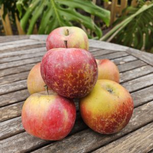 Manzana Royal